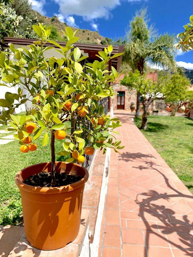 B&B Villa Vittoria Giardini Naxos Exterior foto
